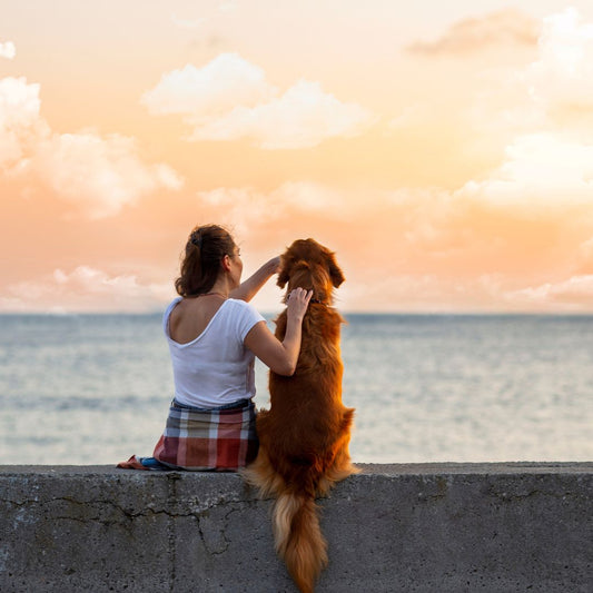 Are you and your pet best friends? - FlowerPup