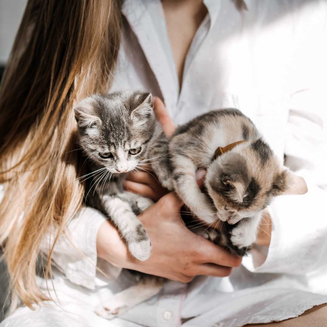6 Reason you should adopt a pet FlowerPup