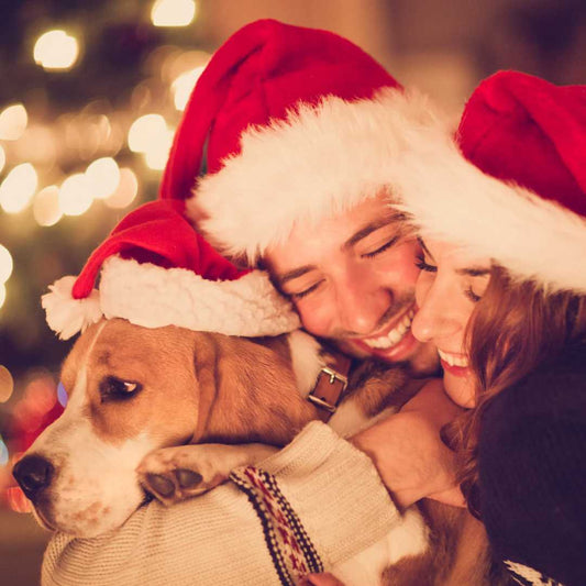 A marry Flowerpup Christmas - FlowerPup