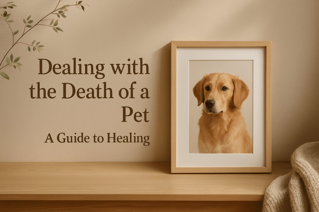 Dealing with the Death of a Pet: A Guide to Healing - FlowerPup