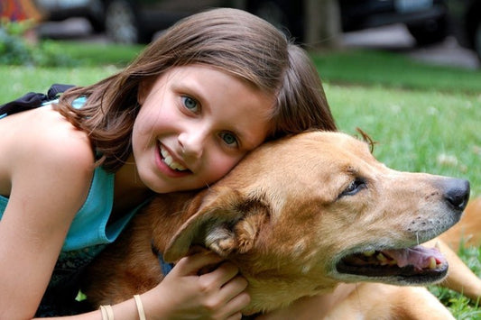 Do Dogs Like to be Hugged? The Science Behind Canine Affection - FlowerPup