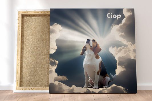 Dogs in Heaven: The Eternal Love of Our Canine Companions - FlowerPup