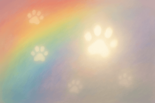 Finding Comfort in Puppy Paintings - FlowerPup