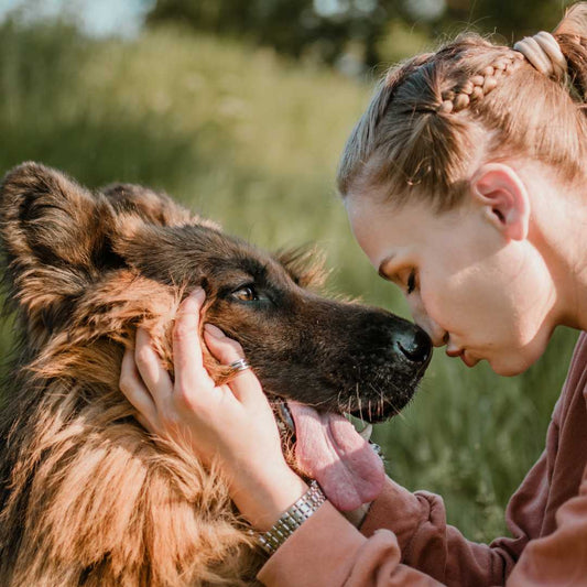 Good new year resolutions: an unforgettable 2025 with your puppy - FlowerPup