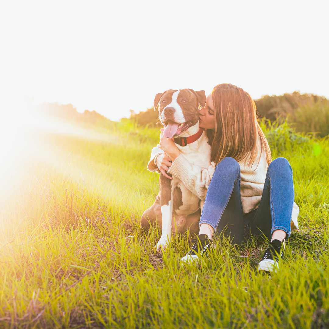 How a Portrait can Help you in Grieving for Pet loss - FlowerPup