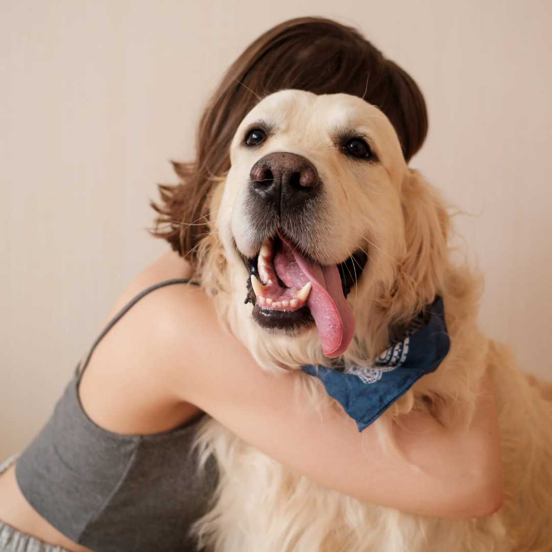 How many hugs you need a day? - FlowerPup