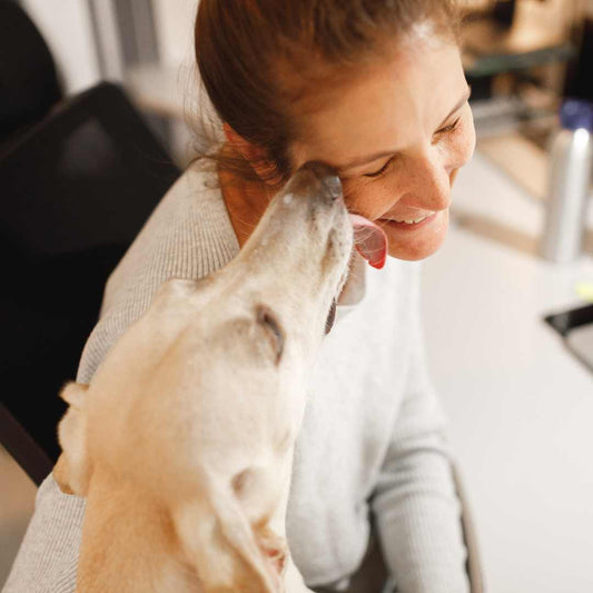 How to Celebrate your Pet's Love on Love your Pet Day - FlowerPup