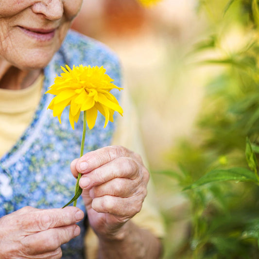 How to cultivate positive emotions - FlowerPup