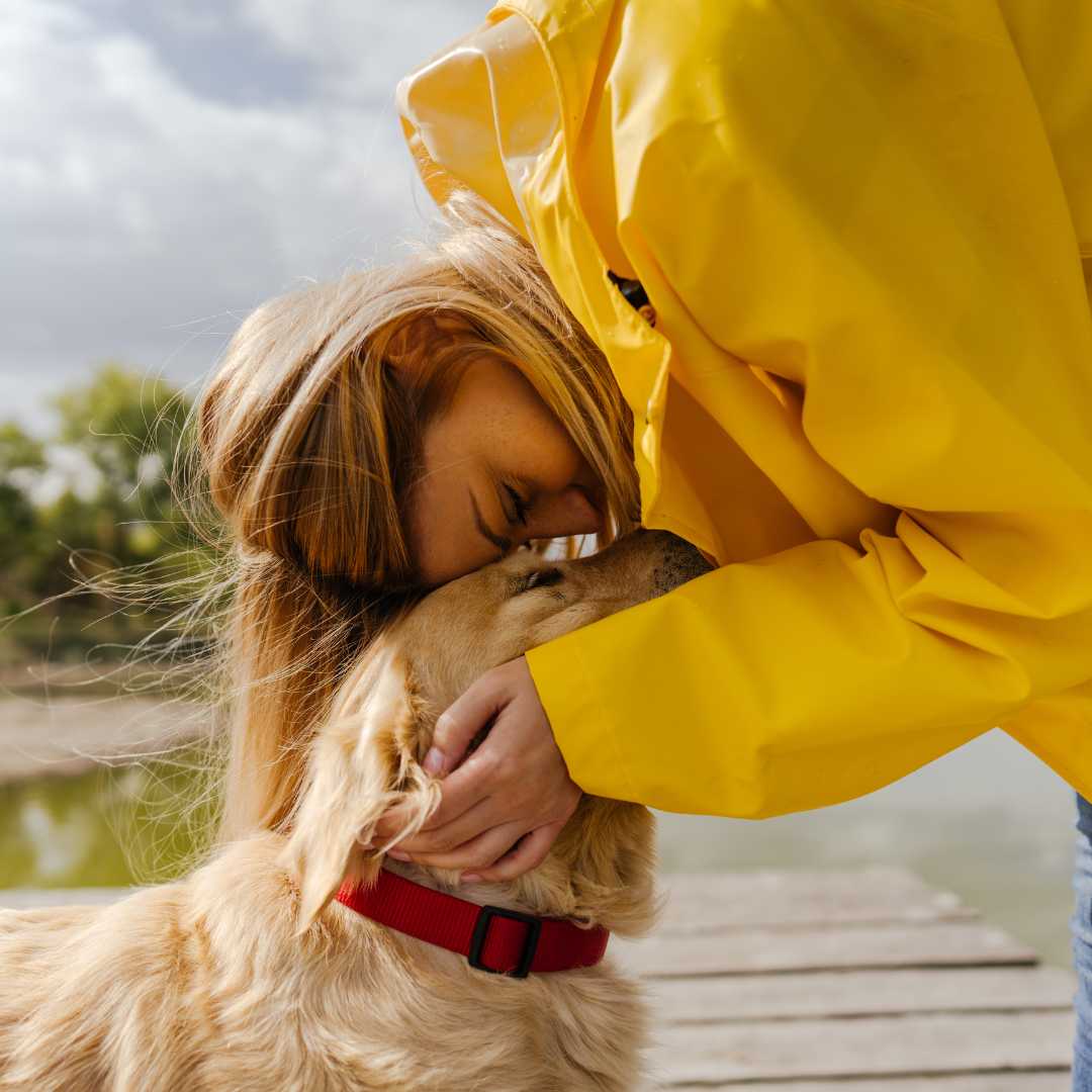 How to Get over Loneliness after Losing a Pet - FlowerPup