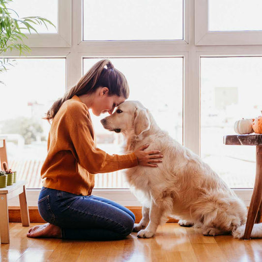 How to Heal After Grieving for a Lost Pet - FlowerPup