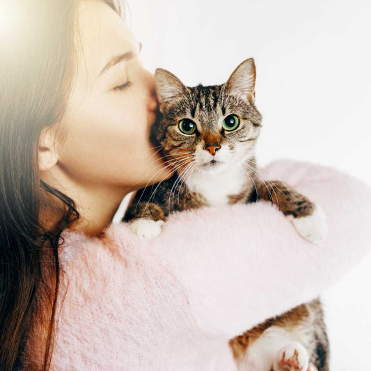 How to know if my cat loves me? - FlowerPup