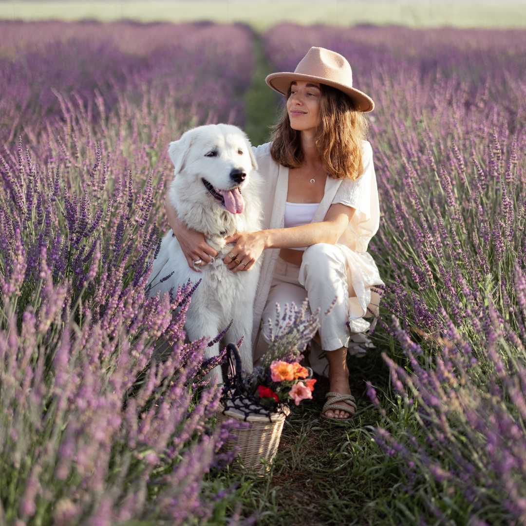 Pet Portraits from Photos: What Size to Choose? - FlowerPup