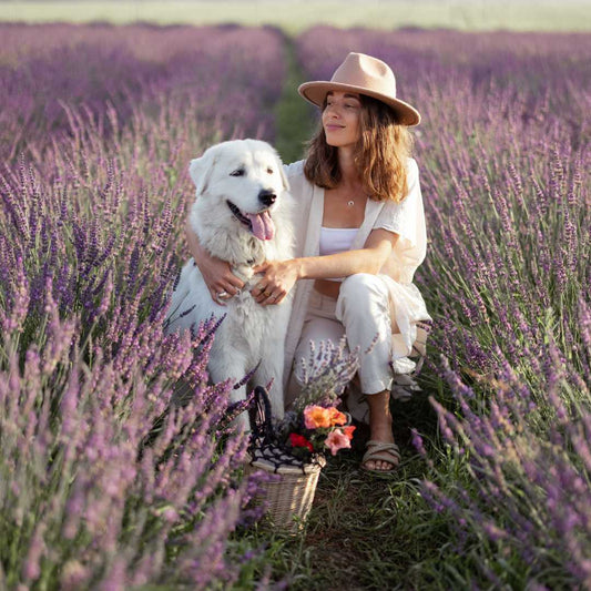 Pet Portraits from Photos: What Size to Choose? - FlowerPup