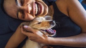 The Benefits of Owning a Dog: How Your Furry Friend Can Improve Your Health and Happiness - FlowerPup