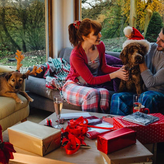 The Christmas portrait that gives peace to my heart - FlowerPup