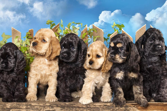 The Top 10 Dog Breeds for Families: Which Pups Are the Best Companions for Kids? - FlowerPup