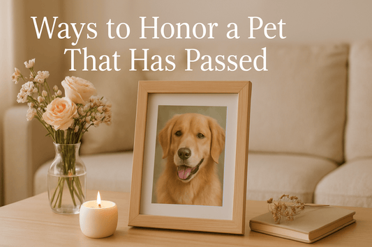 Ways to Honor a Pet That Has Passed - FlowerPup