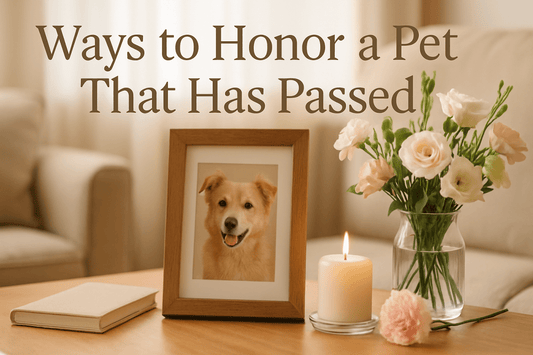 Ways to Honor a Pet That Has Passed - FlowerPup