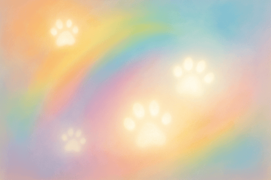 Why do dogs have a favorite person - FlowerPup