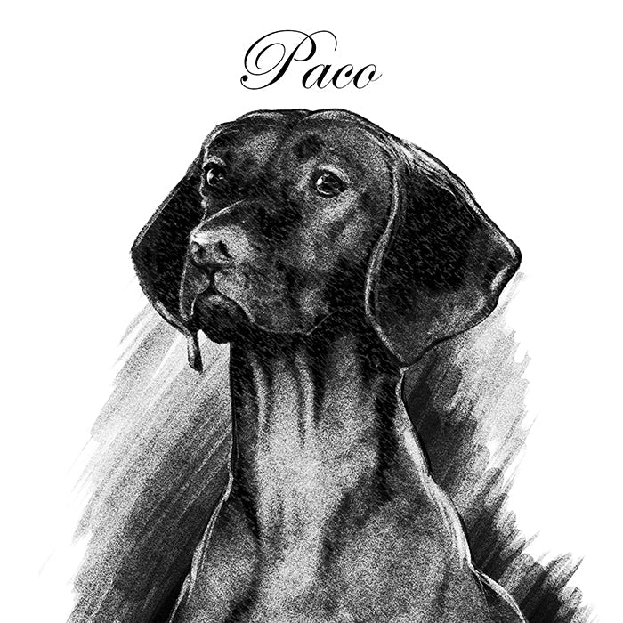 Charcoal Art Pet Portraits - FlowerPup